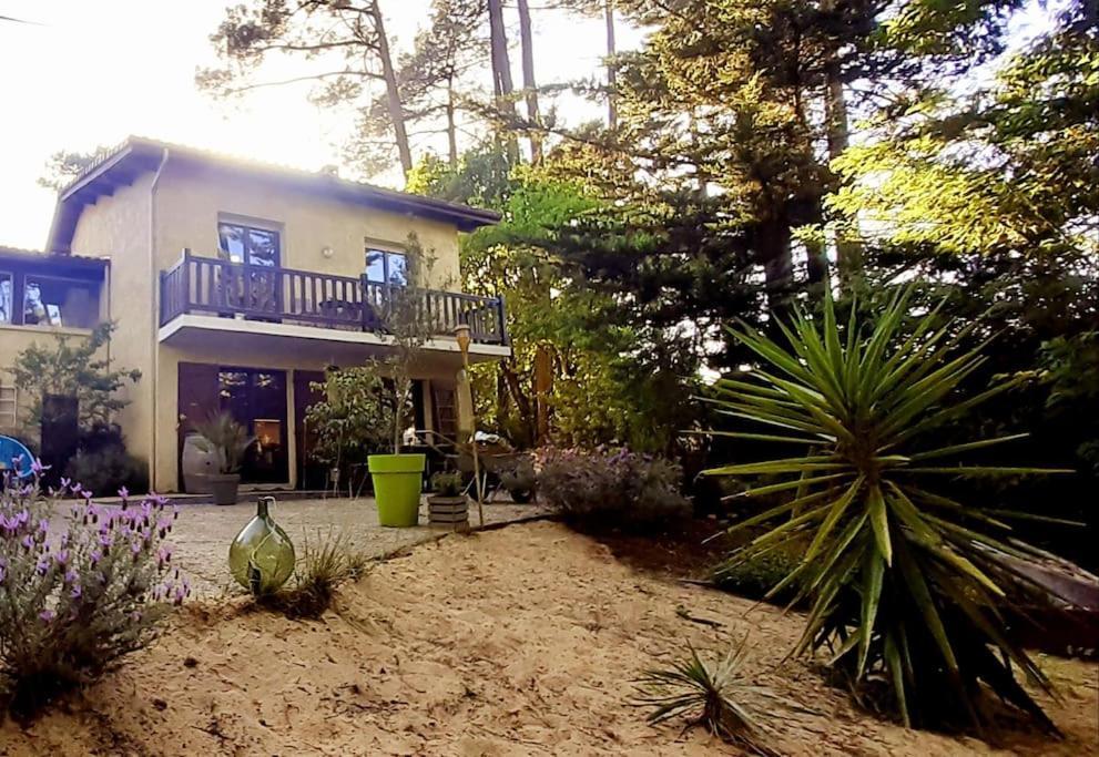 Villa Mon Petit Coin Sous Les Pins La Teste-de-Buch Esterno foto
