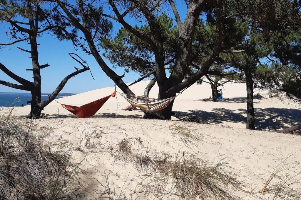 Villa Mon Petit Coin Sous Les Pins La Teste-de-Buch Esterno foto